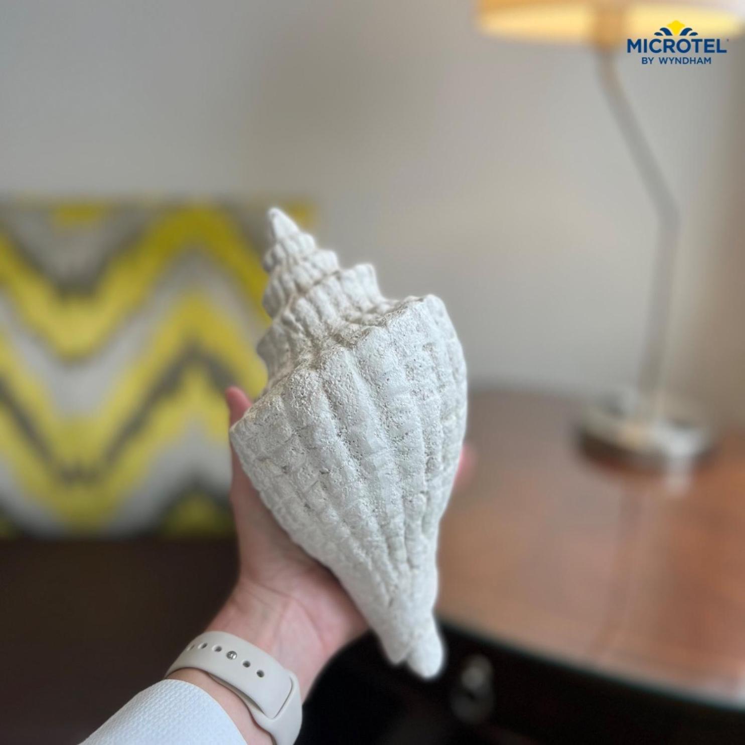 Microtel Inn & Suites By Wyndham Corpus Christi/Aransas Pass Bagian luar foto